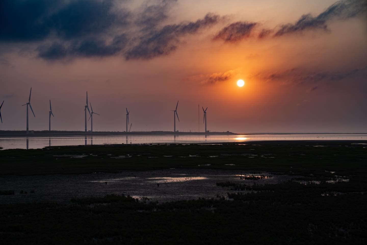 高美濕地（夕陽）