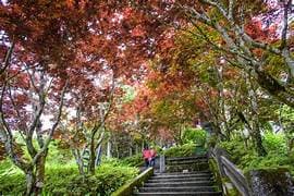 太平山莊（午餐）