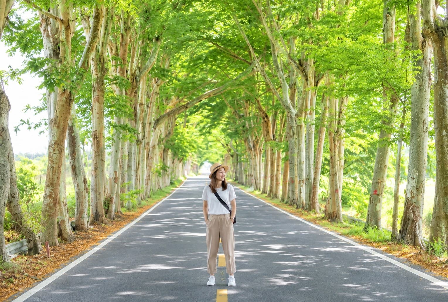 龍田綠色隧道