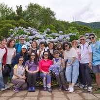 艾瘋玩台灣團體客人在繡球花前合影