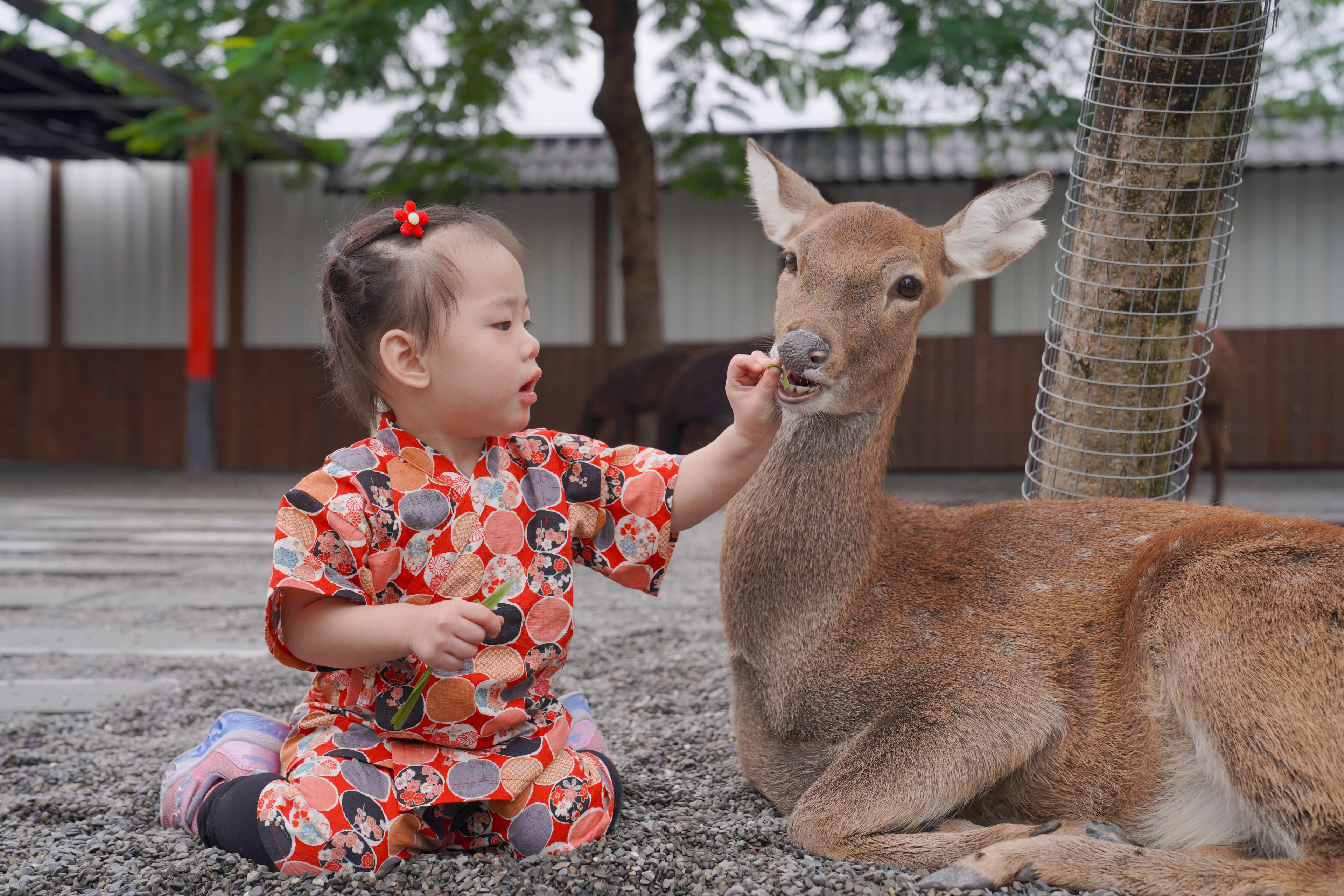 宜蘭一日 · 親子網紅體驗